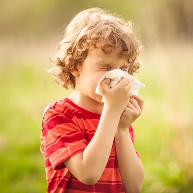 Detección de alergias - 22 alérgenos